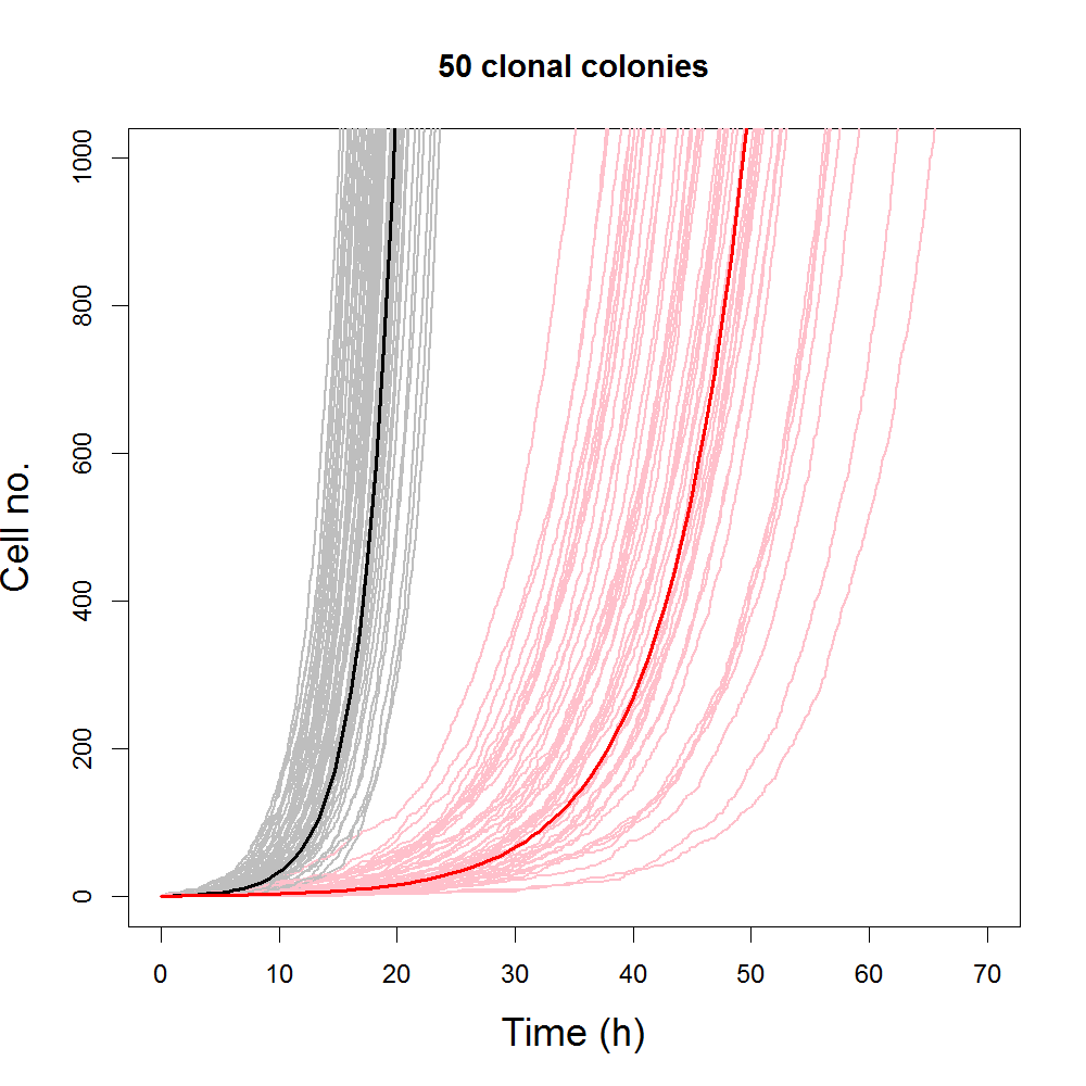 Comparing simulated results from stochastic and deterministic logistic models